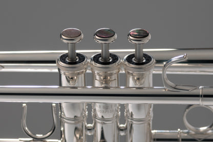 Yamaha YTR-8335IIRSKG Kangakki Bb Trumpet Silver Plate