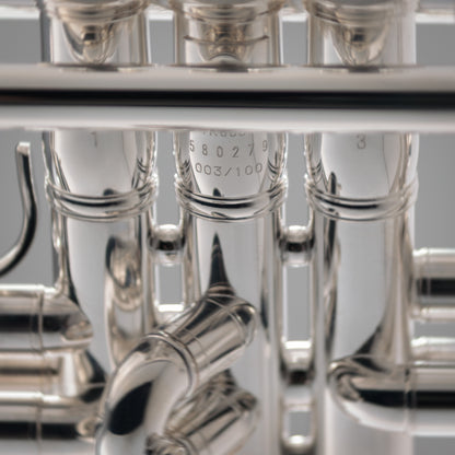 Yamaha YTR-8335IIRSKG Kangakki Bb Trumpet Silver Plate