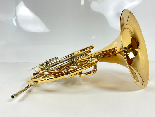 Demo Eastman EFH683G Double French Horn (SN: G2301070)