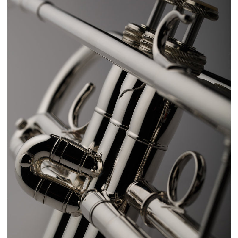 S.E. Shires Q Series TRQ10S