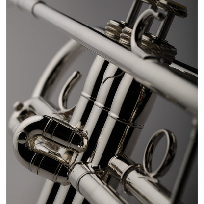 S.E. Shires Q Series TRQ10S